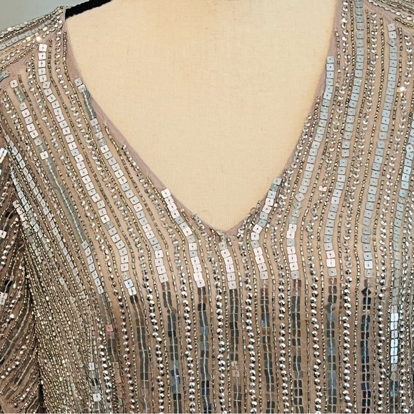 - Parker Silver Sequin Beaded  Blush Silk Blouse L - Picture 5 of 12